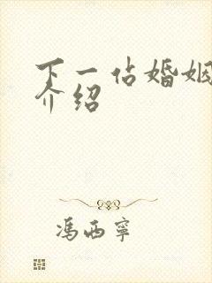 下一站婚姻剧情介绍