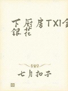 下厨房TXl金银花