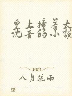 皇上撞着太子妃沈音的小说叫什么