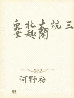 东北大炕三部曲笔趣阁