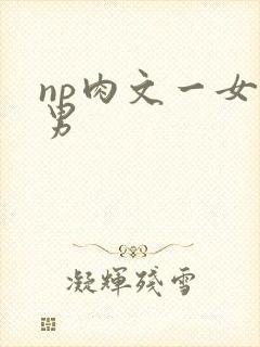 np肉文一女多男