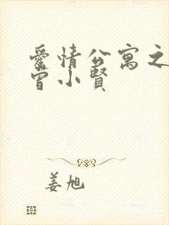 爱情公寓之极品曾小贤