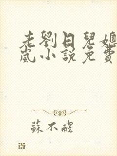 老刘日儿媳妇张岚小说免费阅读