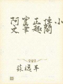 阿宾正传小说全文笔趣阁