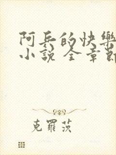 阿兵的快乐生活小说 全章节阅读免费