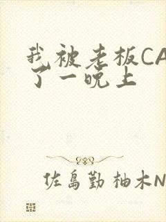 我被老板CAO了一晚上