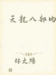 天龙八部肉集