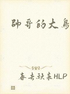 帅哥的大鸟