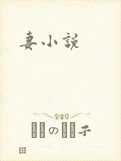 妻小说