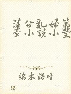 荡公乱妇第51章小说小莹