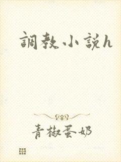 调教小说h