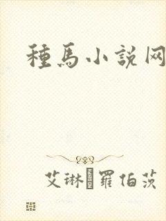 种马小说网