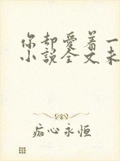 你却爱着一个他小说全文未删减免费