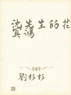 沈先生的花式调冥鸿