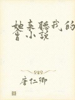 她来听我的演唱会小说