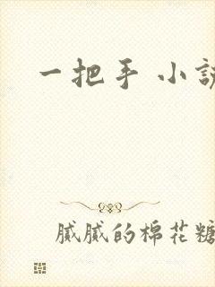 一把手 小说