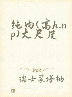 纯肉(高h.np)大尺度