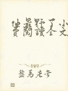 他最野了小说免费阅读全文