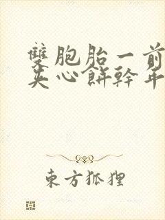 双胞胎一前一后夹心饼干年下