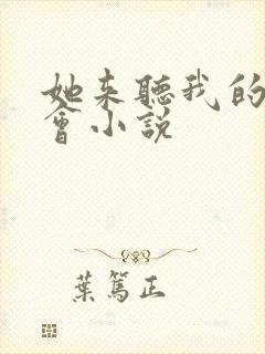 她来听我的演唱会小说