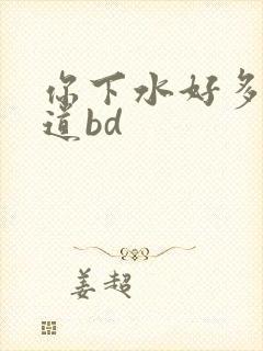 你下水好多下水道bd