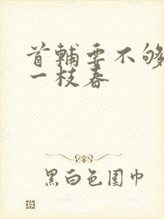 首辅要不够po一枝春