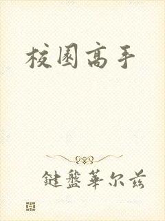校园高手