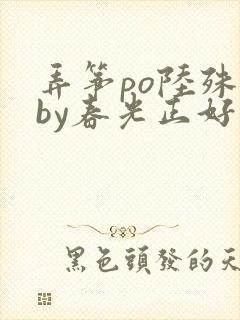 弄筝po陆殊词by春光正好