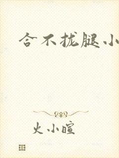 合不拢腿小说