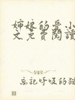 婶娘的爱小说全文免费阅读