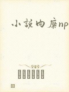 小说肉糜np
