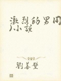 激烈的男同(h)小说