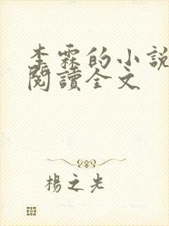 李霖的小说免费阅读全文