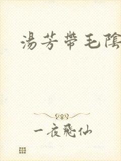 汤芳带毛阴部