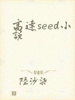 高达seed小说