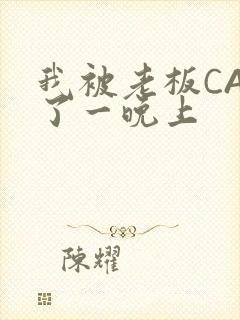 我被老板CAO了一晚上