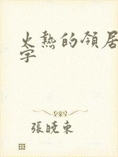 火热的领居中文字