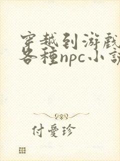 穿越到游戏里和各种npc小说