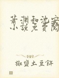 萧渊和沈安安的小说免费阅读