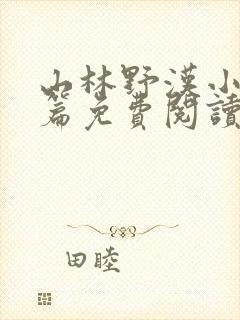 山林野汉小说全篇免费阅读