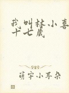 我叫林小喜今年十七岁