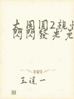 大团圆2亲情会闪闪发光免费