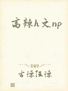 高辣h文np