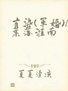 有染(军婚)/叶落淮南