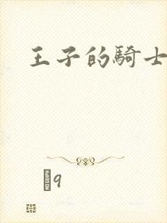 王子的骑士小说