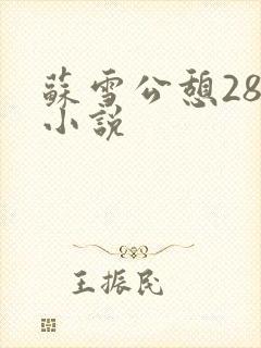 苏雪公憩28篇小说