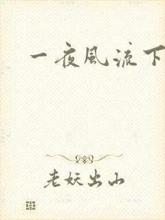 一夜风流下载