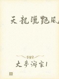 天龙猎艳风流
