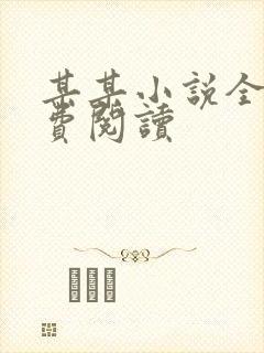 某某小说全文免费阅读