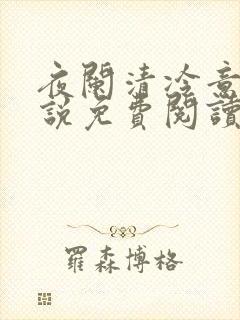 夜阑清冷意欢小说免费阅读